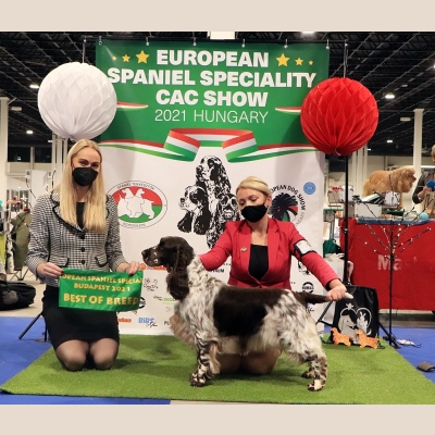 european-dog-show.jpg