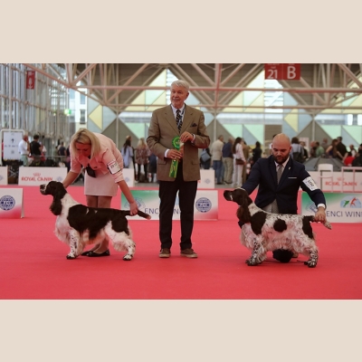 world-dog-show-2026.jpg